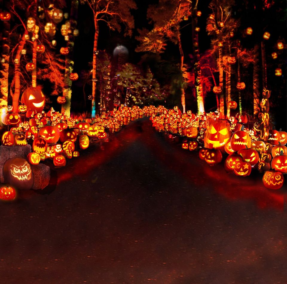 Jack-O-Lantern World in Lake Zurich